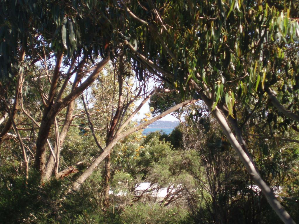 Phillip Island Self Check In Διαμέρισμα Ventnor Δωμάτιο φωτογραφία